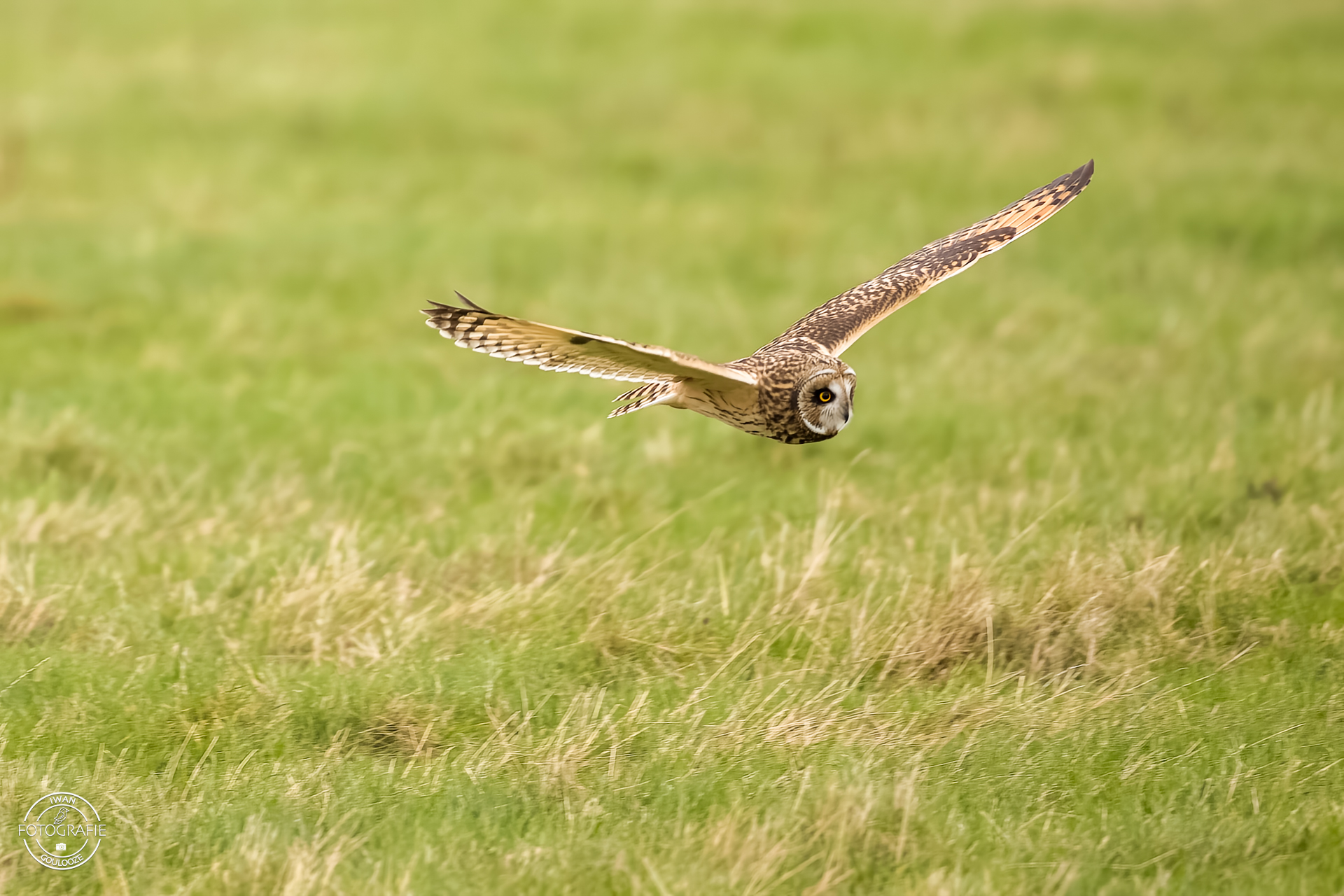 15 oktober 2022 164453 1R2A9667 bewerkt